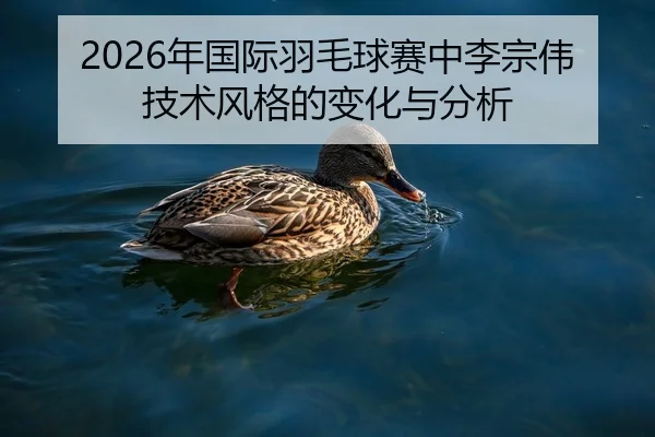 2026年国际羽毛球赛中李宗伟技术风格的变化与分析