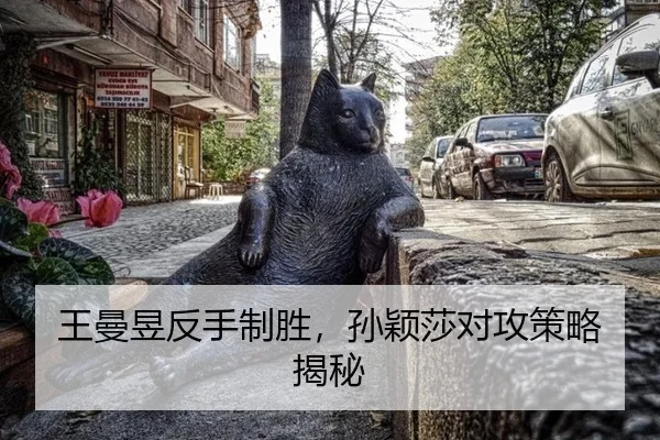 王曼昱反手制胜，孙颖莎对攻策略揭秘